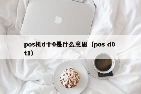 pos机d十0是什么意思（pos d0 t1）