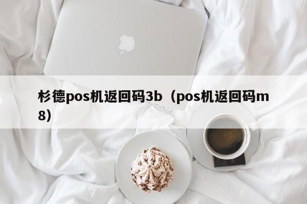 杉德pos机返回码3b（pos机返回码m8）