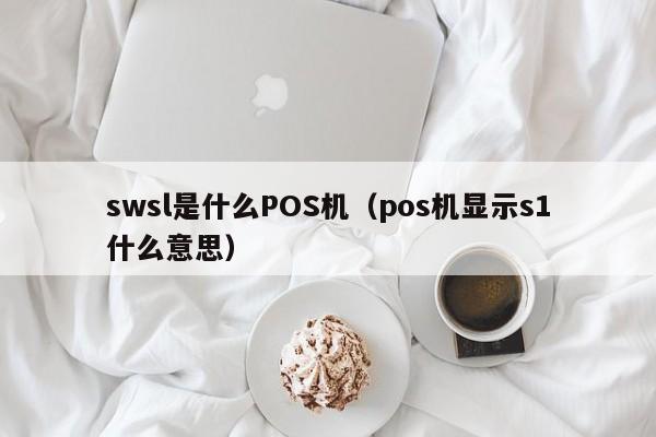 swsl是什么POS机（pos机显示s1什么意思）