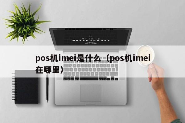 pos机imei是什么（pos机imei在哪里）