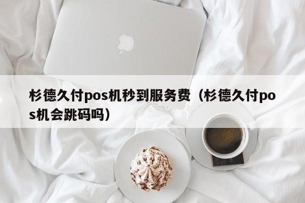 杉德久付pos机秒到服务费（杉德久付pos机会跳码吗）