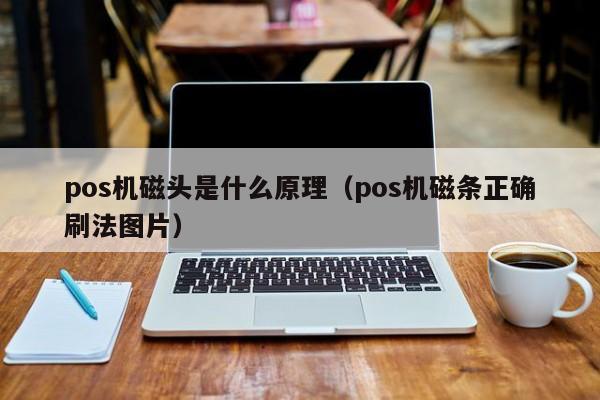 pos机磁头是什么原理（pos机磁条正确刷法图片）