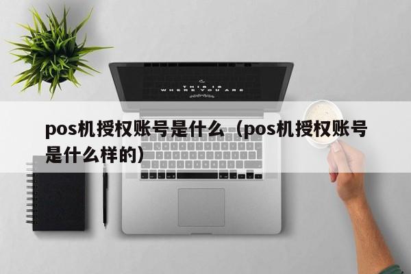 pos机授权账号是什么（pos机授权账号是什么样的）