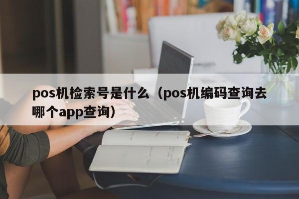 pos机检索号是什么（pos机编码查询去哪个app查询）