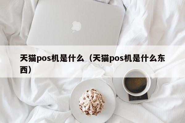 天猫pos机是什么（天猫pos机是什么东西）