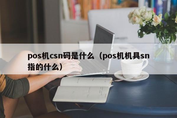 pos机csn码是什么（pos机机具sn指的什么）