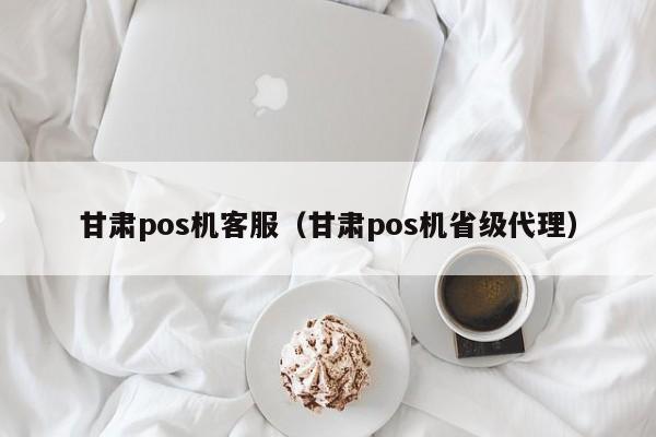 甘肃pos机客服（甘肃pos机省级代理）