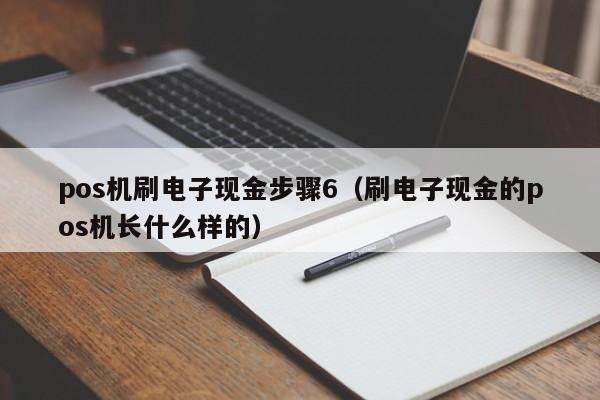 pos机刷电子现金步骤6（刷电子现金的pos机长什么样的）