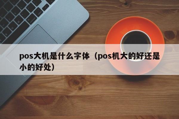 pos大机是什么字体（pos机大的好还是小的好处）