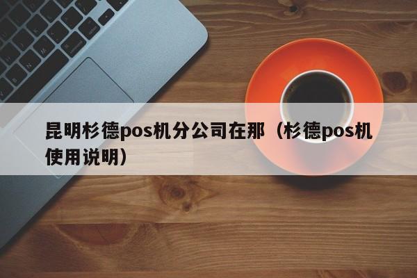 昆明杉德pos机分公司在那（杉德pos机使用说明）