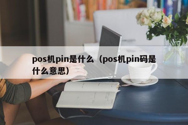 pos机pin是什么（pos机pin码是什么意思）