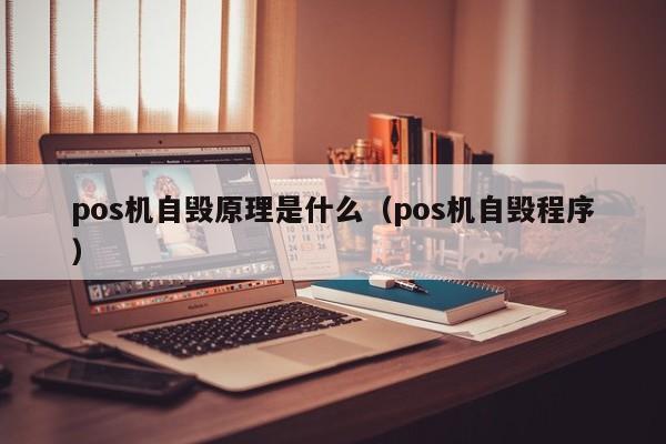 pos机自毁原理是什么（pos机自毁程序）