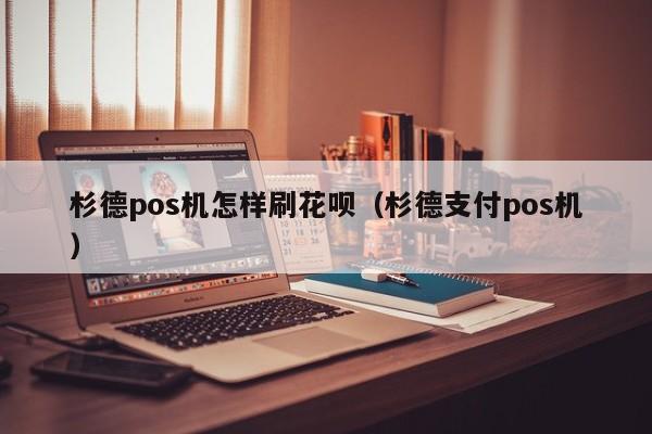 杉德pos机怎样刷花呗（杉德支付pos机）