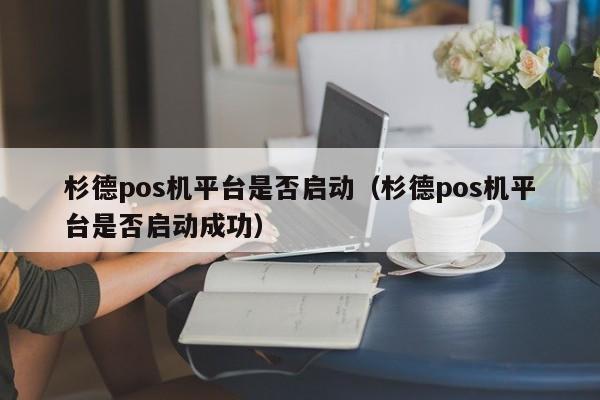 杉德pos机平台是否启动（杉德pos机平台是否启动成功）