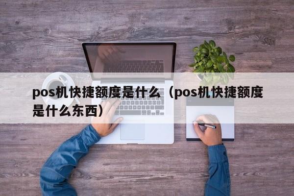 pos机快捷额度是什么（pos机快捷额度是什么东西）