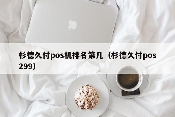 杉德久付pos机排名第几（杉德久付pos299）