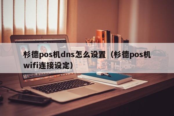 杉德pos机dns怎么设置（杉德pos机wifi连接设定）