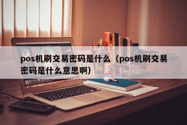 pos机刷交易密码是什么（pos机刷交易密码是什么意思啊）