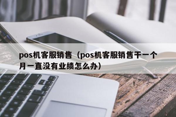 pos机客服销售（pos机客服销售干一个月一直没有业绩怎么办）