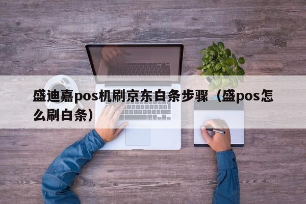 盛迪嘉pos机刷京东白条步骤（盛pos怎么刷白条）