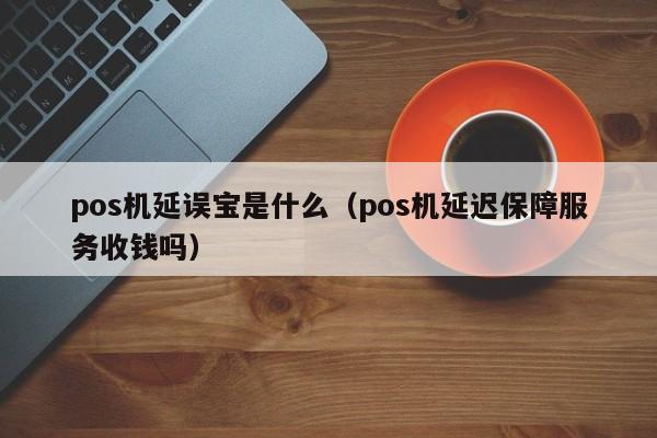 pos机延误宝是什么（pos机延迟保障服务收钱吗）