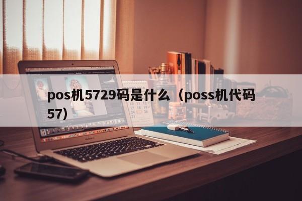 pos机5729码是什么（poss机代码57）