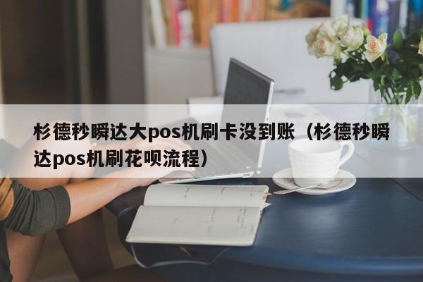 杉德秒瞬达大pos机刷卡没到账（杉德秒瞬达pos机刷花呗流程）