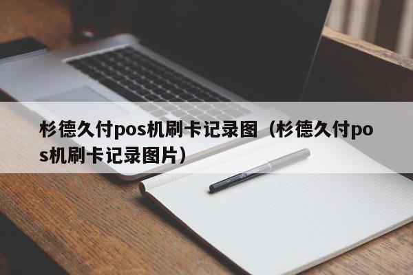 杉德久付pos机刷卡记录图（杉德久付pos机刷卡记录图片）