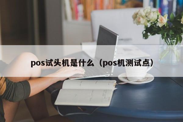 pos试头机是什么（pos机测试点）