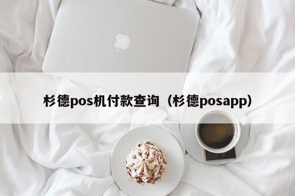 杉德pos机付款查询（杉德posapp）