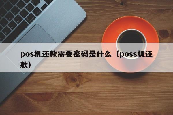 pos机还款需要密码是什么（poss机还款）