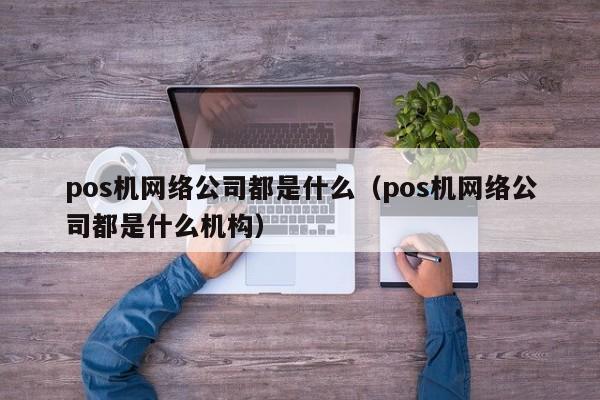 pos机网络公司都是什么（pos机网络公司都是什么机构）