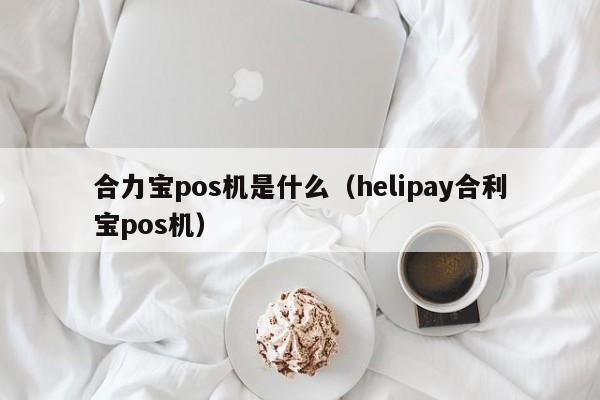 合力宝pos机是什么（helipay合利宝pos机）