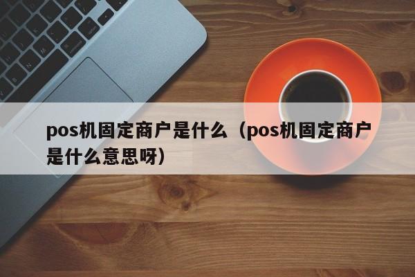 pos机固定商户是什么（pos机固定商户是什么意思呀）