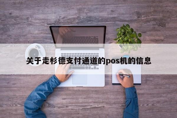 关于走杉德支付通道的pos机的信息