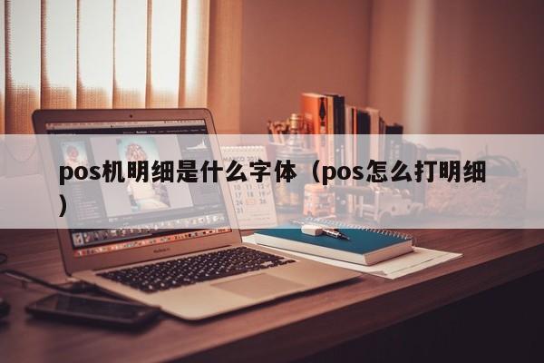 pos机明细是什么字体（pos怎么打明细）