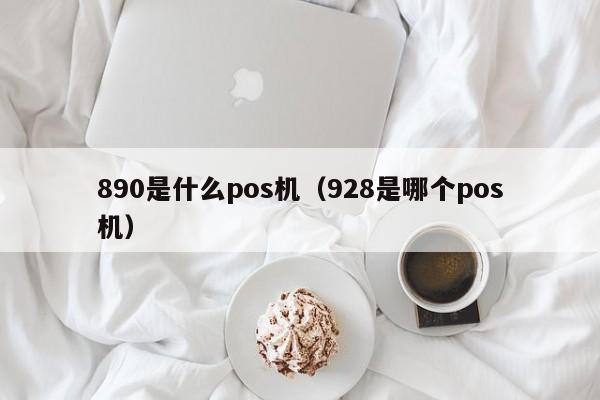 890是什么pos机（928是哪个pos机）