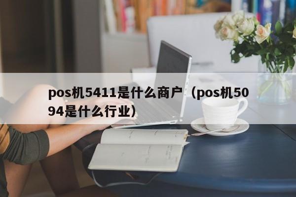 pos机5411是什么商户（pos机5094是什么行业）