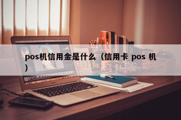 pos机信用金是什么（信用卡 pos 机）