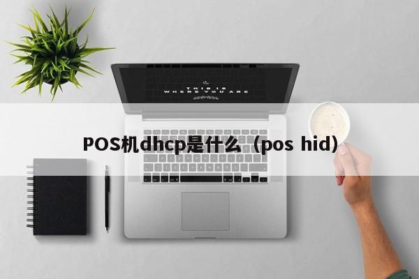 POS机dhcp是什么（pos hid）