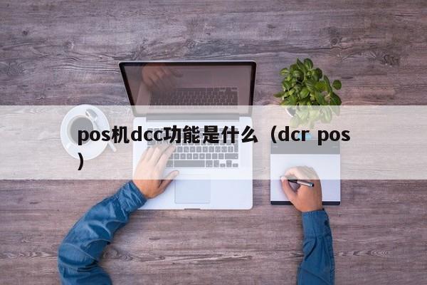 pos机dcc功能是什么（dcr pos）