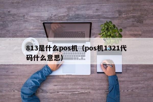 813是什么pos机（pos机1321代码什么意思）