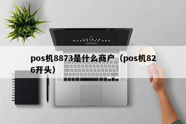 pos机8873是什么商户（pos机826开头）