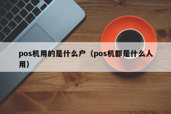 pos机用的是什么户（pos机都是什么人用）