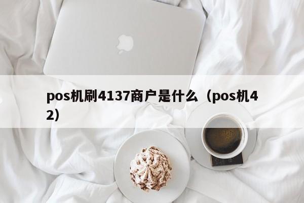 pos机刷4137商户是什么（pos机42）