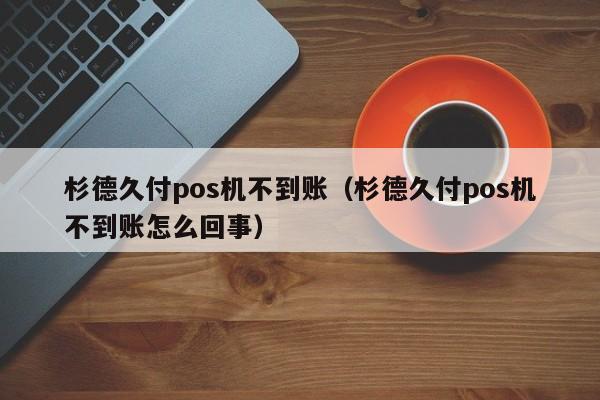 杉德久付pos机不到账（杉德久付pos机不到账怎么回事）