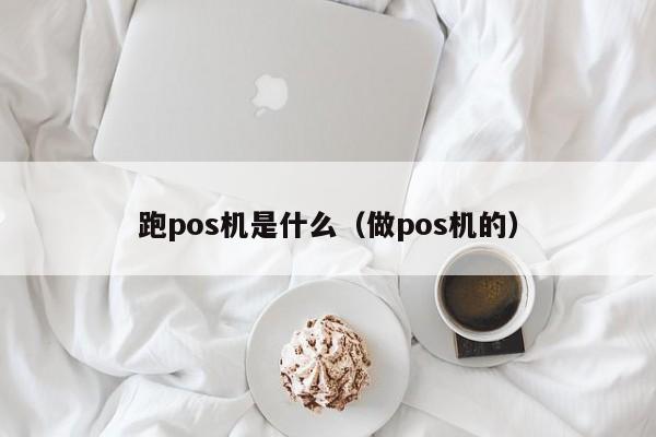 跑pos机是什么（做pos机的）