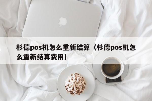 杉德pos机怎么重新结算（杉德pos机怎么重新结算费用）