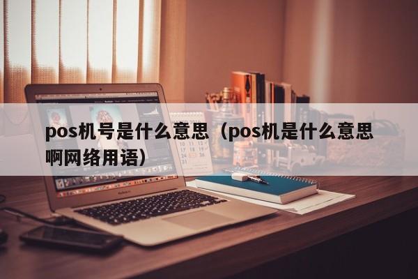 pos机号是什么意思（pos机是什么意思啊网络用语）