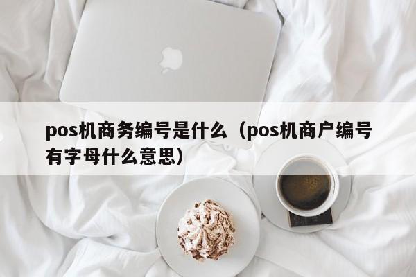 pos机商务编号是什么（pos机商户编号有字母什么意思）